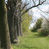Gunpowder Park
