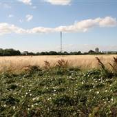 Tottenham Marshes