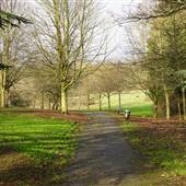 Arrandene Open Space
