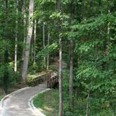 Mountain Park Park