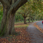 Finsbury Park