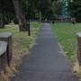 Rush Common