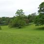 Shenstone Park