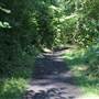 Littleheath Woods