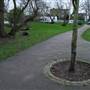Consort Park