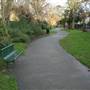 Holly Grove Shrubbery