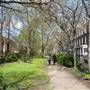 Compton Terrace Gardens