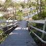 Regent's Canal Steps