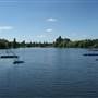 Danson Park