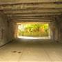 Parkland Walk