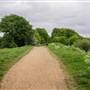 Parkland Walk