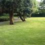 The Knoll