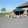 Montauk Downs State Park Golf Course
