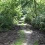 Sanderstead Plantation