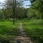 South Norwood Lake Trim Trail