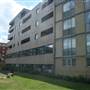 Tanner Street Park