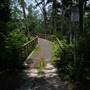 Mays Landing - Schools