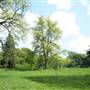 Grangewood Park