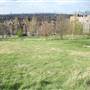 Dawson's Hill
