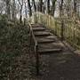 Dulwich Wood