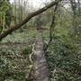 Dulwich Wood