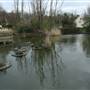 Lavender Pond