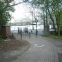 Russia Dock Woodland