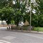 Cathnor Park