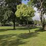 Normand Park