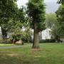 Ravenscourt Park - Flower Garden