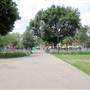 Shepherds Bush Common