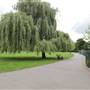 Little Wormwood Scrubs - Playground and Outdoor Gym Area