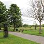 Little Wormwood Scrubs - Main Area