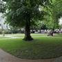 Redcliffe Square Gardens