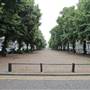 Royal Avenue
