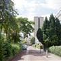 Wayneflete Square