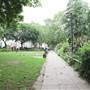 Tavistock Square Gardens
