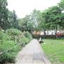 Tavistock Square Gardens