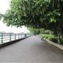 Bishops Park - River Walk / Thames Path