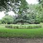 Hurlingham Park- Playground