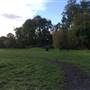 Fishponds Park