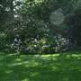 Kelsey Park
