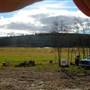 Bloomingshine Farm
