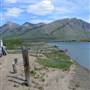 Carcross Summer