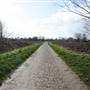 South Norwood Country Park