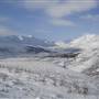 Dempster Winter