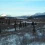 Fish Lake December