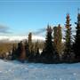 Fish Lake February