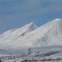 Haines Summit