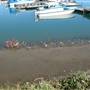 Marsh Lake Marina